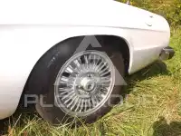 1979 Alfa Romeo Spider