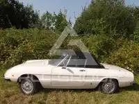 1979 Alfa Romeo Spider