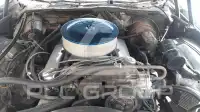 1979 Ford Other