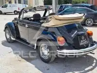 1979 Volkswagen Others