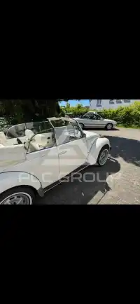 1979 Volkswagen BEETLE