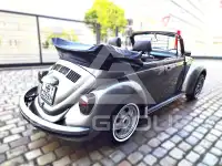 1979 Volkswagen BEETLE