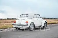 1979 Volkswagen BEETLE