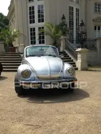 1979 Volkswagen BEETLE