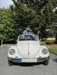1979 Volkswagen BEETLE