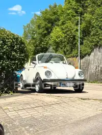 1979 Volkswagen BEETLE
