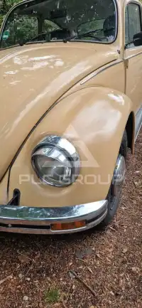 1979 Volkswagen 