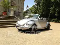 1979 Volkswagen BEETLE