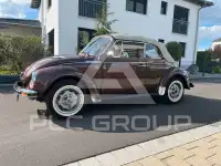 1979 Volkswagen BEETLE