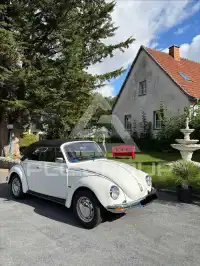 1979 Volkswagen BEETLE