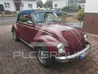 1979 Volkswagen BEETLE