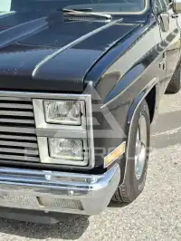 1981 Chevrolet Other