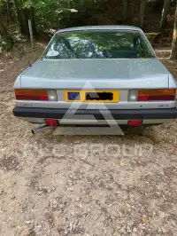 1981 Lancia Gamma