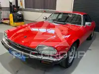 1981 Jaguar XJS
