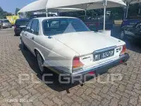 1981 Jaguar Unknown