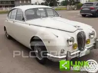 1981 Jaguar Unknown