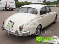 1981 Jaguar Unknown