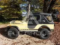 1981 Jeep Renegade