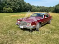 1981 Cadillac ELDORADO