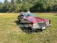 1981 Cadillac ELDORADO