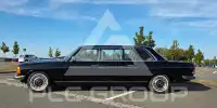 1981 Mercedes Benz 250