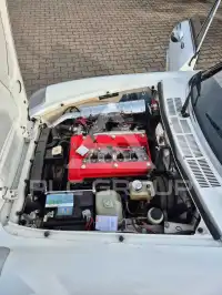 1981 Alfa Romeo Spider