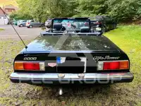 1981 Alfa Romeo Spider