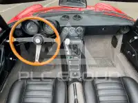 1981 Alfa Romeo Spider