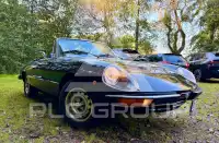1981 Alfa Romeo Spider
