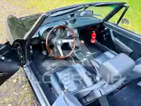 1981 Alfa Romeo Spider