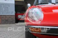 1981 Alfa Romeo Spider