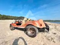 1981 Volkswagen Buggy