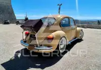 1981 Volkswagen Others