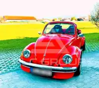 1981 Volkswagen Others