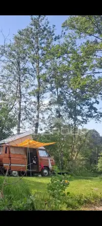 1981 Volkswagen T3