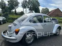 1981 Volkswagen BEETLE
