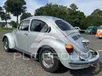 1981 Volkswagen BEETLE