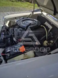 1982 Mercedes Benz 230