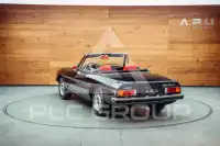 1982 Alfa Romeo Spider
