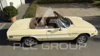 1982 Alfa Romeo Spider