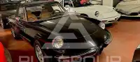 1982 Alfa Romeo Spider
