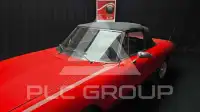 1982 Alfa Romeo Spider