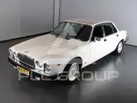 1983 Jaguar Unknown