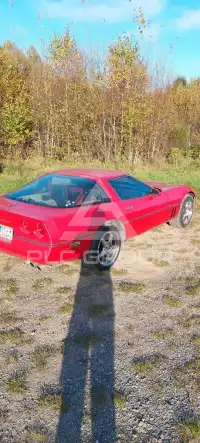 1984 Corvette C4