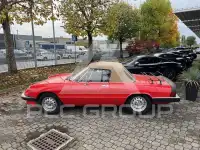 1984 Alfa Romeo Spider