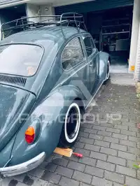 1984 Volkswagen BEETLE