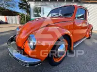 1984 Volkswagen BEETLE