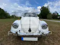 1984 Volkswagen BEETLE