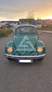 1984 Volkswagen BEETLE