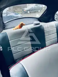 1984 Volkswagen BEETLE